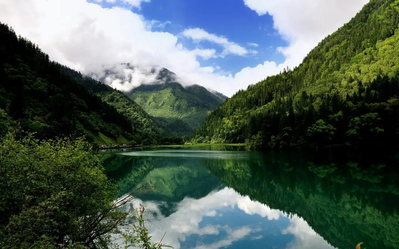 高精度高效